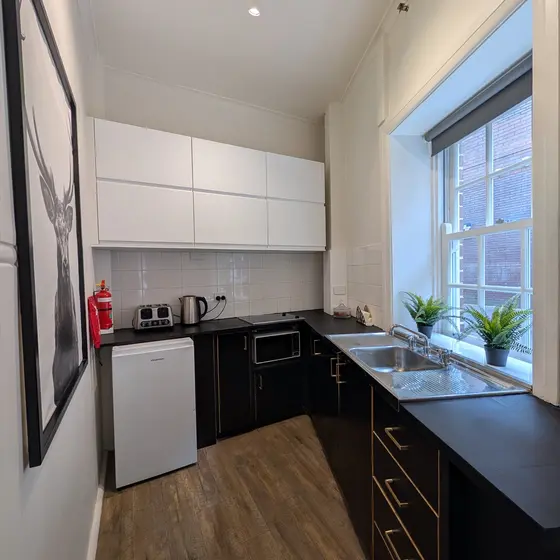 Kitchenette with cooktop and fridge at Laneway Studio, Surry Hills